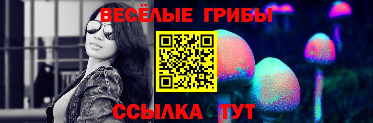 A PVP Артёмовский